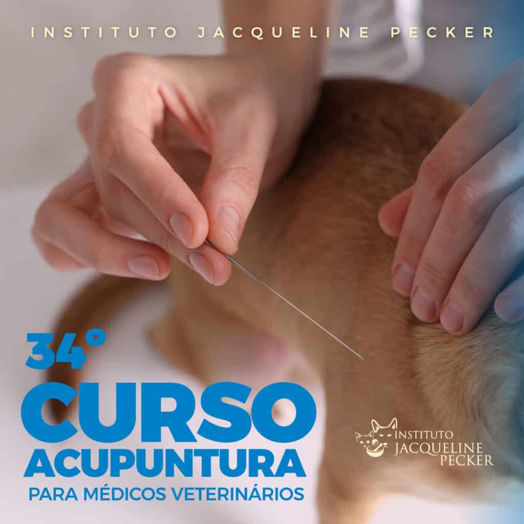 curso de acupuntura veterinária